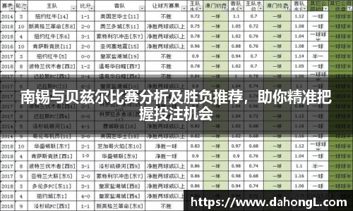南锡与贝兹尔比赛分析及胜负推荐，助你精准把握投注机会