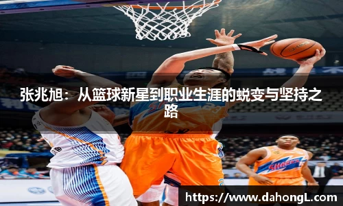 1xbet体育官网